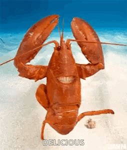 Un homard qui danse