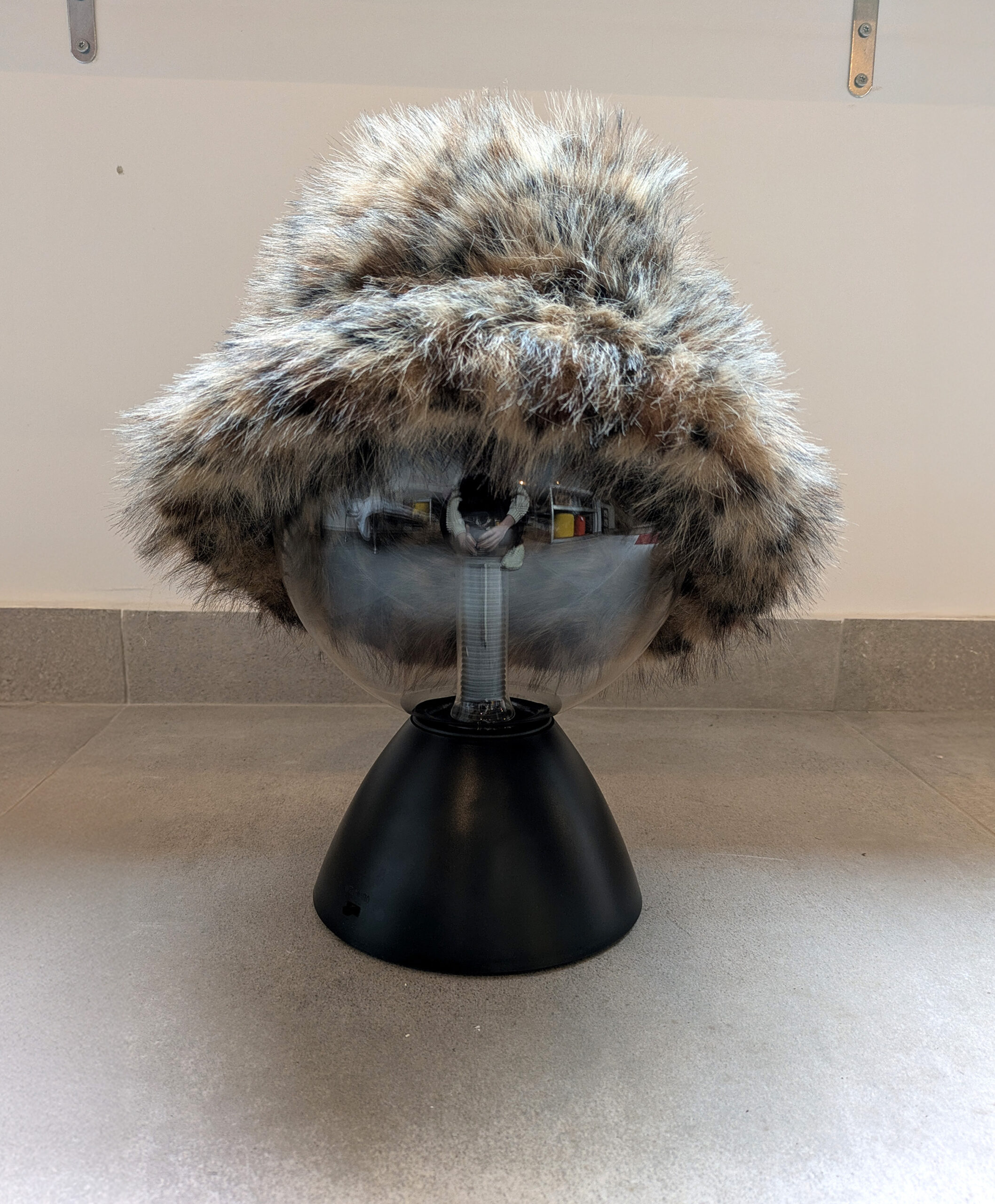 Bob poilu - Léopard – Image 3