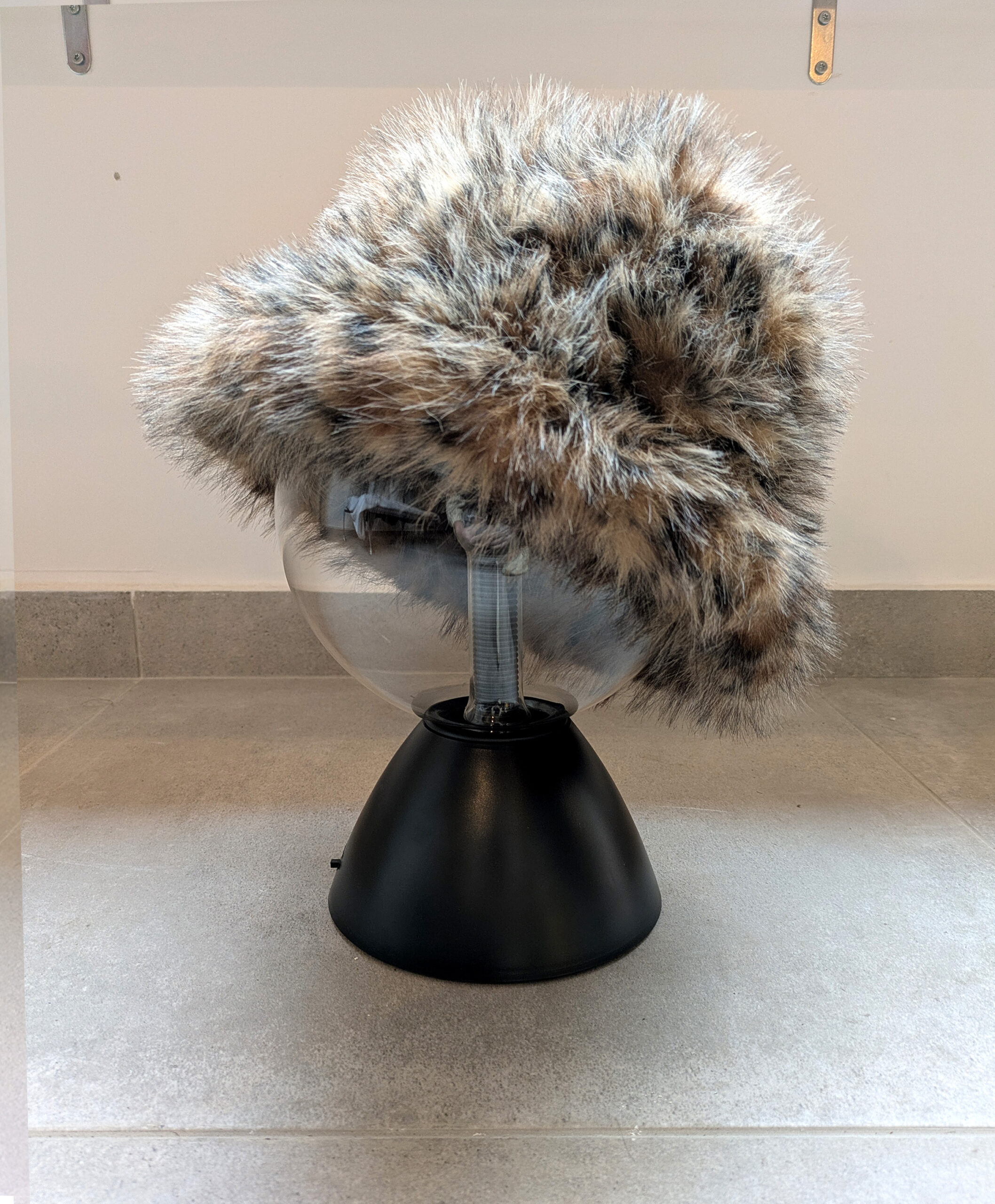 Bob poilu - Léopard – Image 4