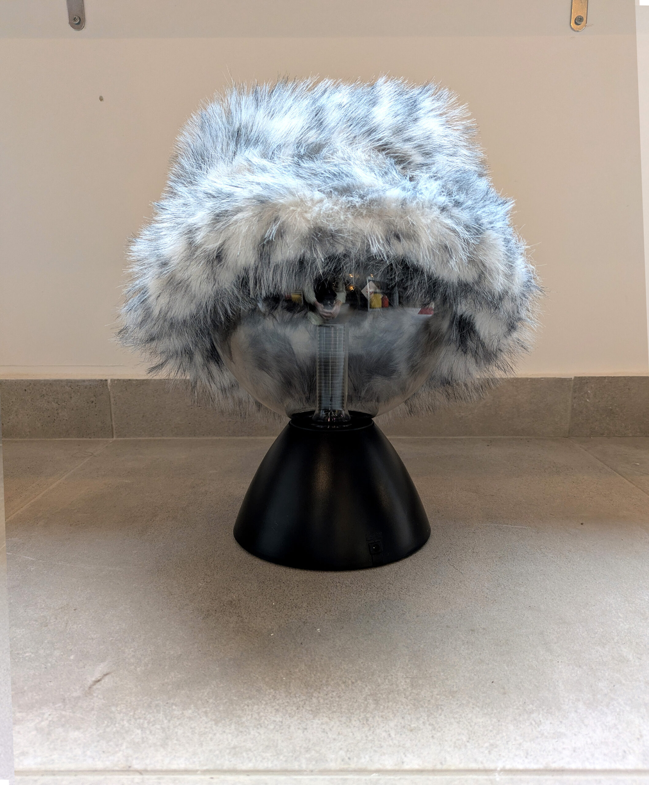 Bob poilu - Léopard