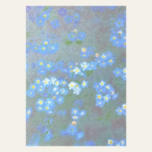 Carte Myosotis
