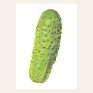 Carte Pickle