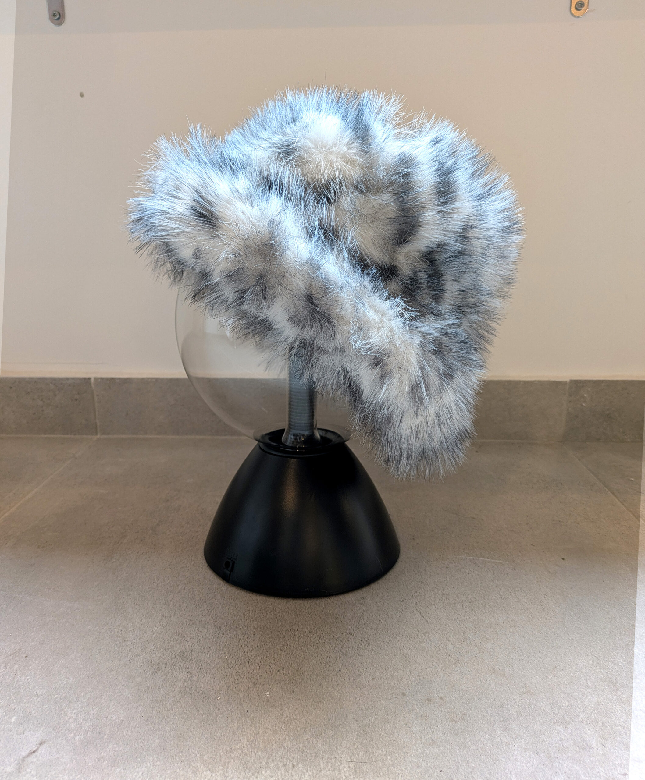 Bob poilu - Léopard – Image 2