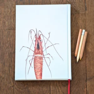 Carnet A5 Crevette
