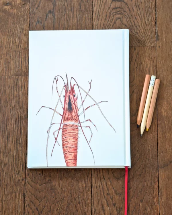 Carnet A5 Crevette