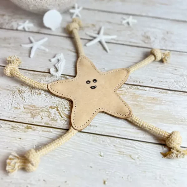 Jouet pour Chien - Etoile