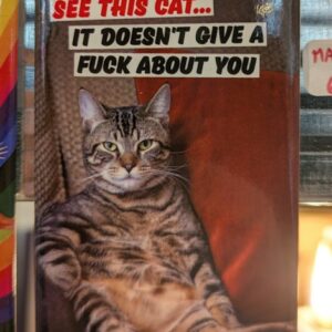 Magnet See This cat ?