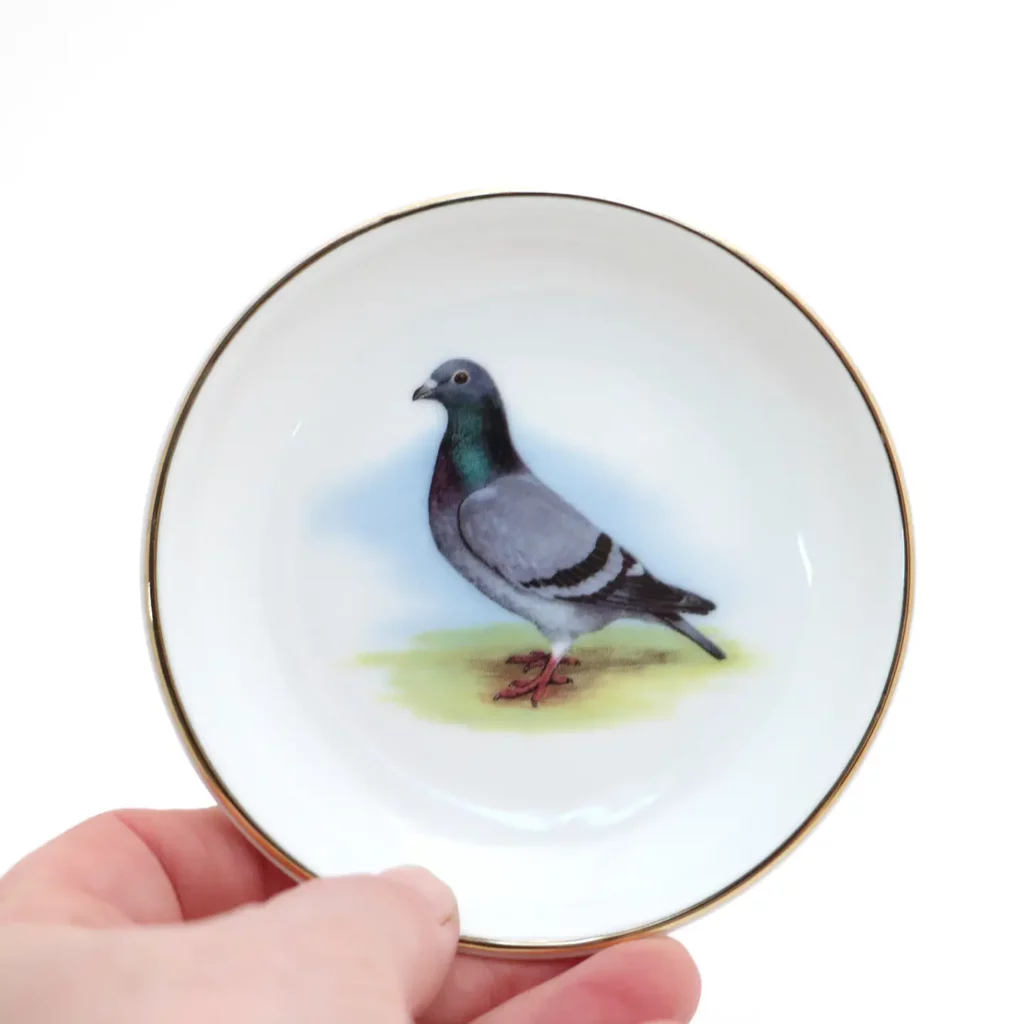 Plat Pigeon Chic