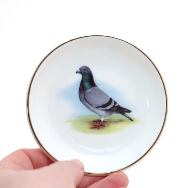 Plat Pigeon Chic